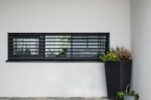 DSC03676_bico_nelkül_2023-10-03-122243_wqlq